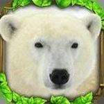 终极北极熊模拟器免费版