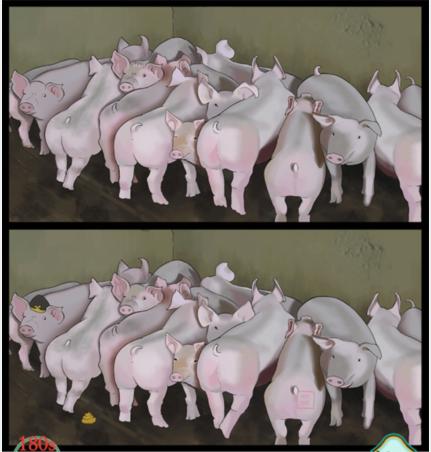 《疯狂梗传》猪圈的猪找出10处不同通关攻略